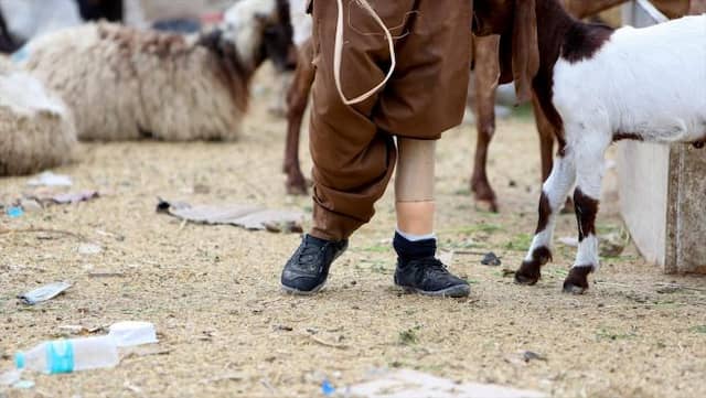 قوربانییەکی مینی چێنراو لە گوندی جورف مەلح - وێنە: ئانادۆڵۆ