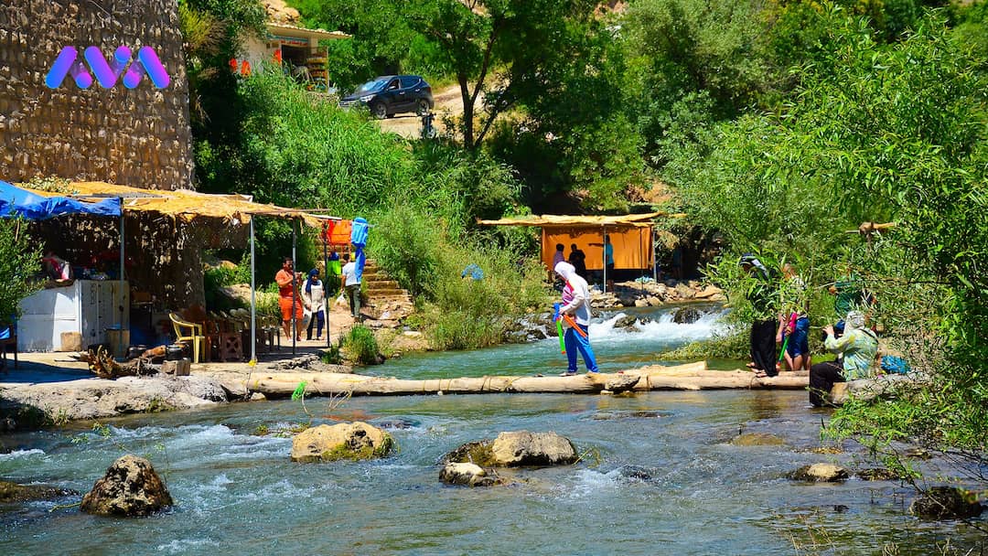 سەیرانگەی گۆڵێ لە پێنجوێن - وێنە: ئاودێر محەممەد