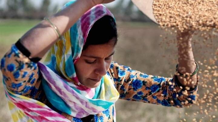 نەتەوە یەکگرتووەکان: لە 2023 دا نزیکەی 733 ملیۆن کەس ڕووبەڕووی برسێتی بوونەتەوە