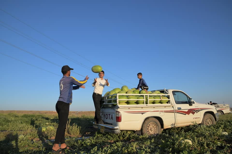 هەرێمی کوردستان داوا لە عێراق دەكات هاوردەكردنی ژمارەیەک بەروبووم ڕابگرێت