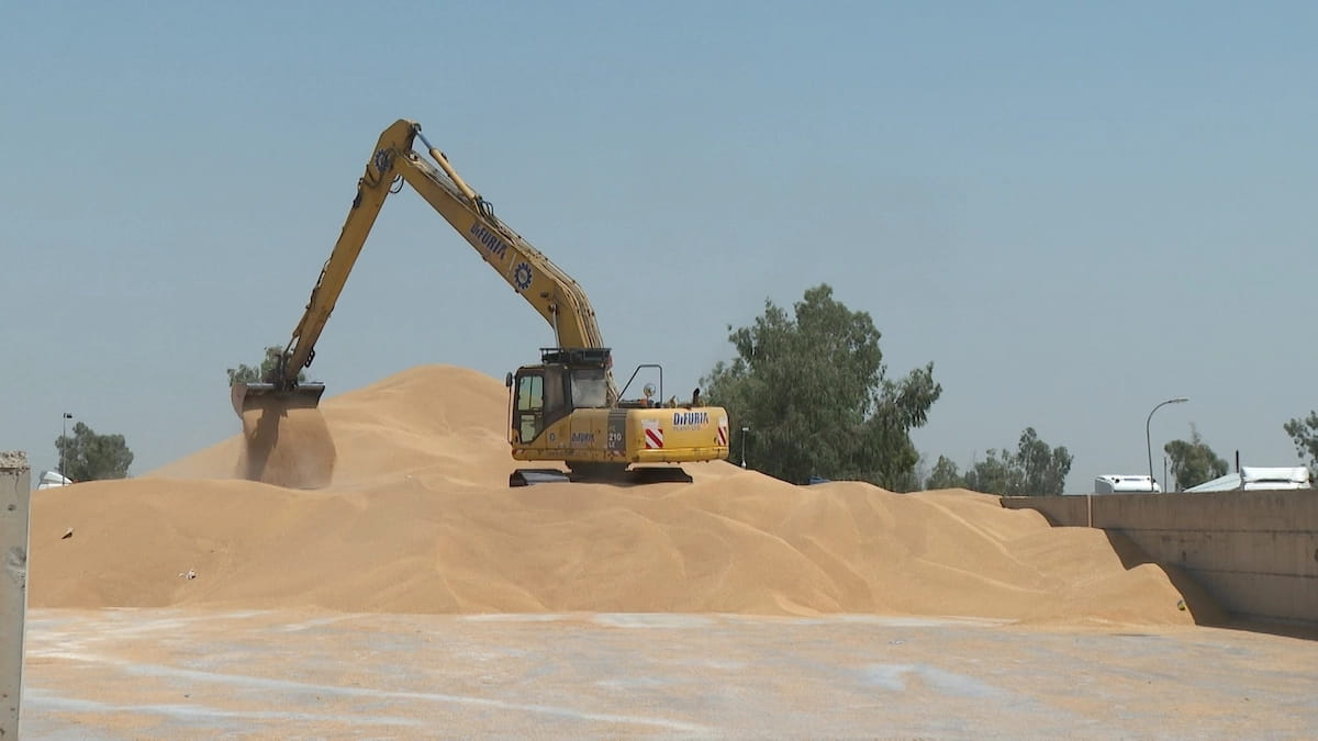 پێشنیازێکی نوێ بۆ وەرگرتنی گەنمی جوتیاران دەخرێتەڕوو