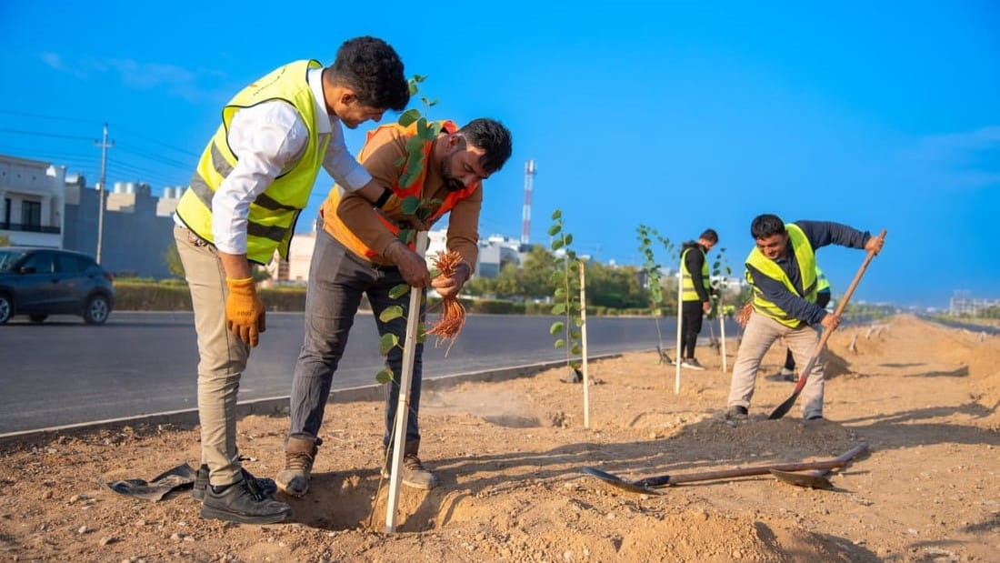 لە هەولێر هەڵمەتێکی گەورەی دارچاندن دەکرێت