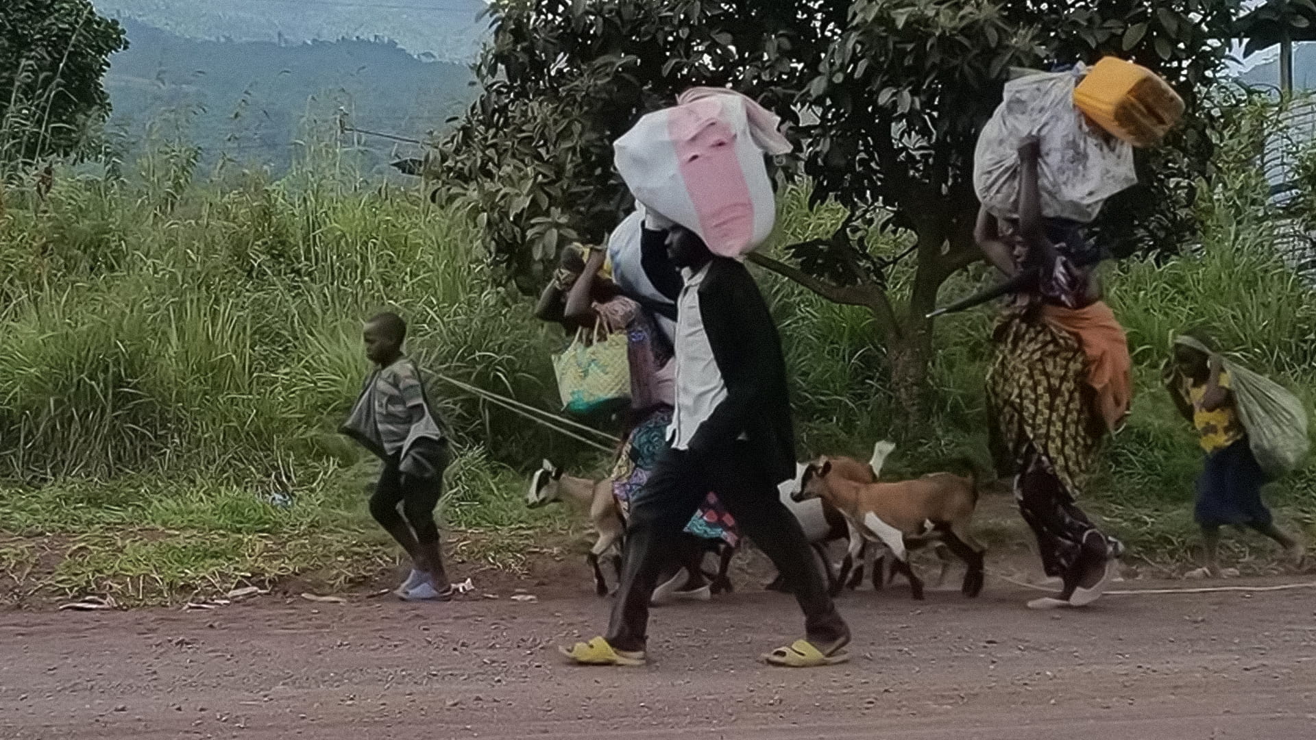 زیاتر لە 100 هەزار کەس لە کۆنگۆ ئاوارە دەبن