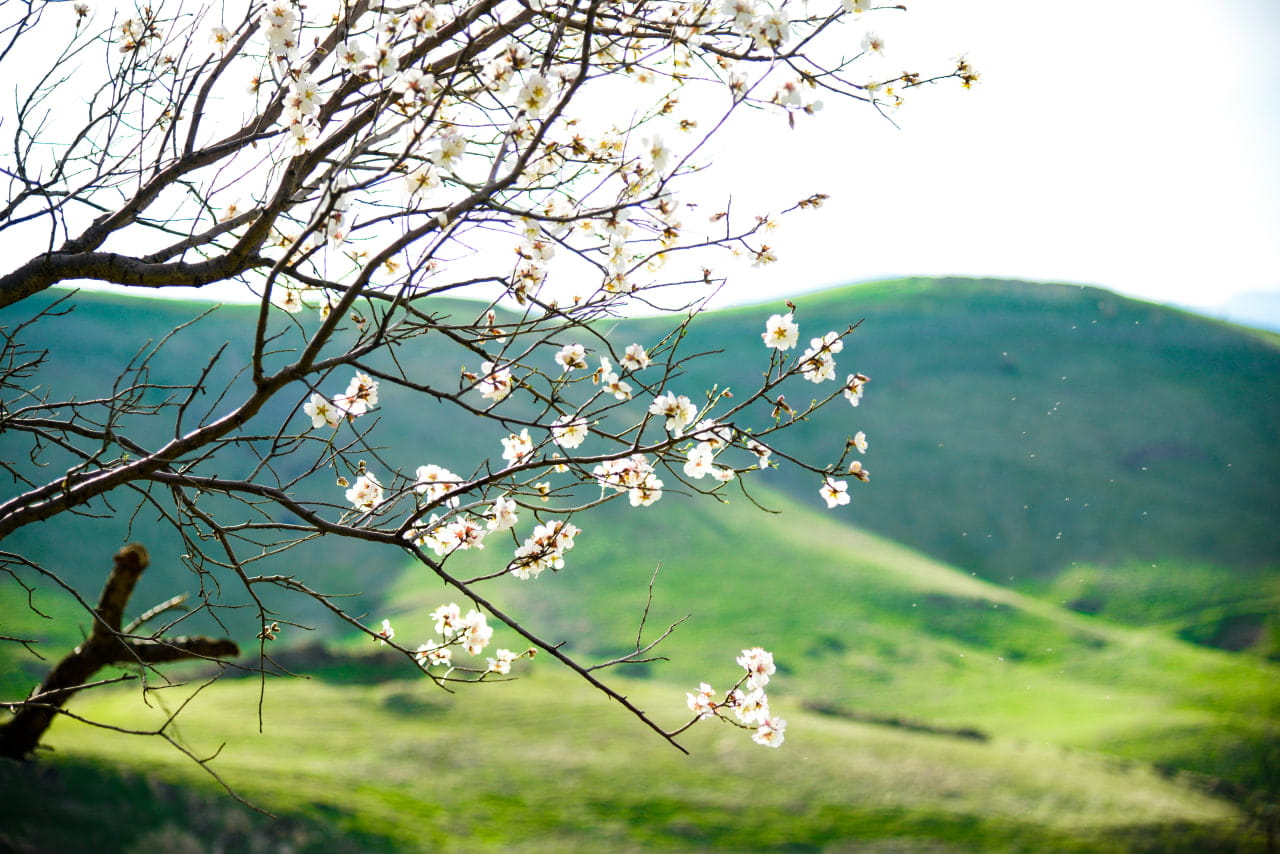 هەینی یەکەم ڕۆژی "لەنگەری بەهارە"