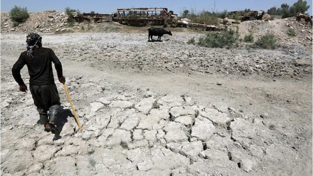 مەترسیی بە بیابانبوون لە عێراق زۆرە - BBC