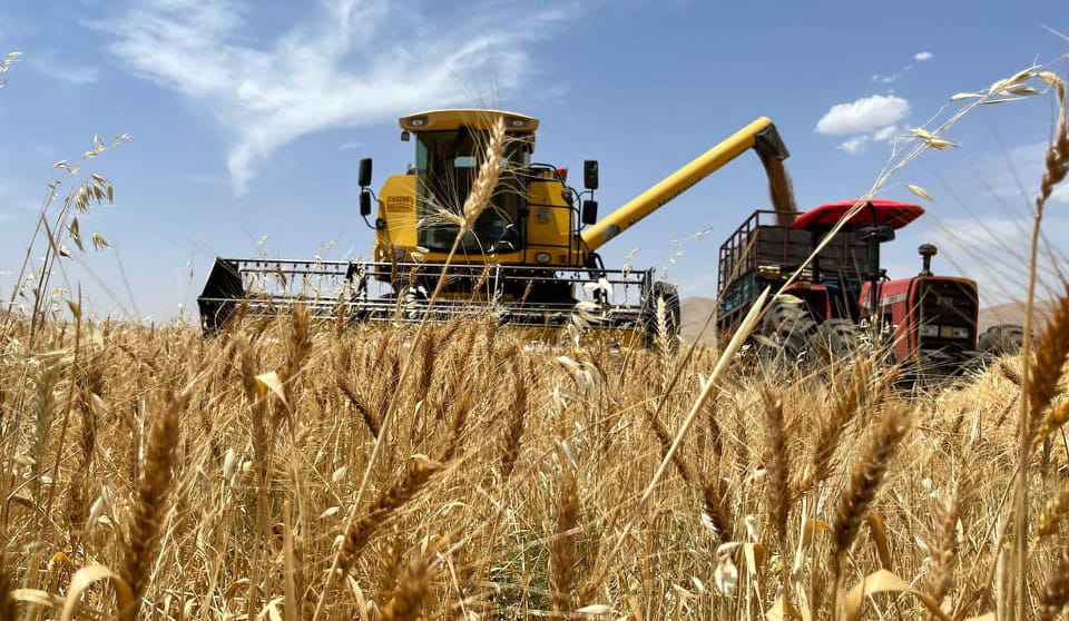 بە بازاڕکردنی گەنمی جووتیاران لە 12 پارێزگای عێراق بەردەوامە