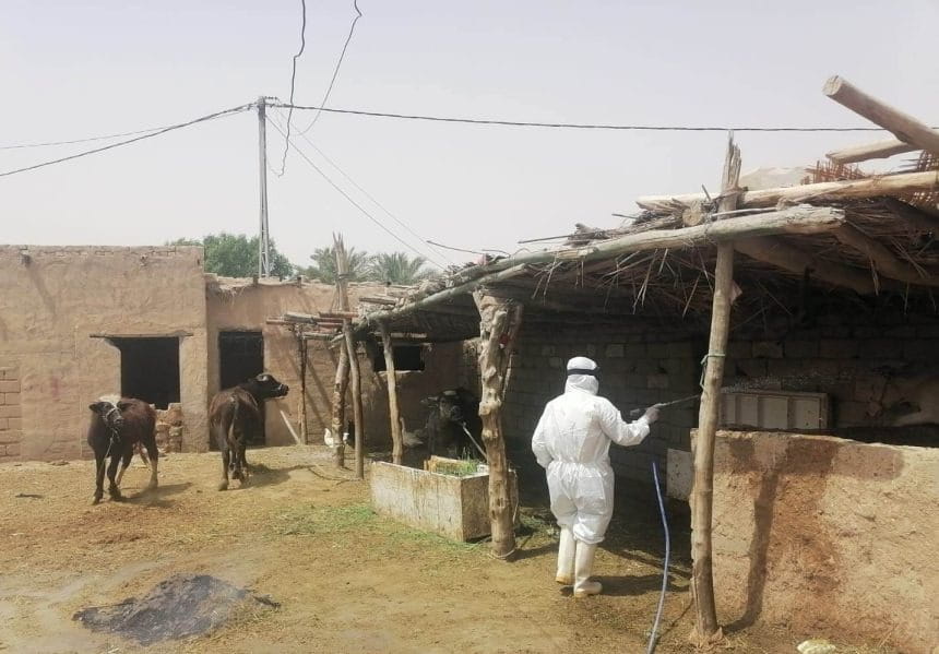 لە سەرەتای ئەمساڵەوە 39 حاڵەتی تای خوێنبەربوون لە عێراق تۆمارکراوە