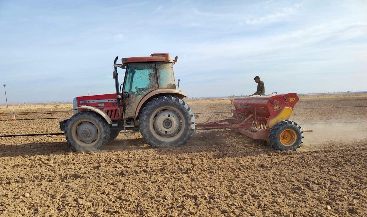 وەرگرتنی گەنمی جووتیارانی کورد لە کەرکووک دەستپێدەکات