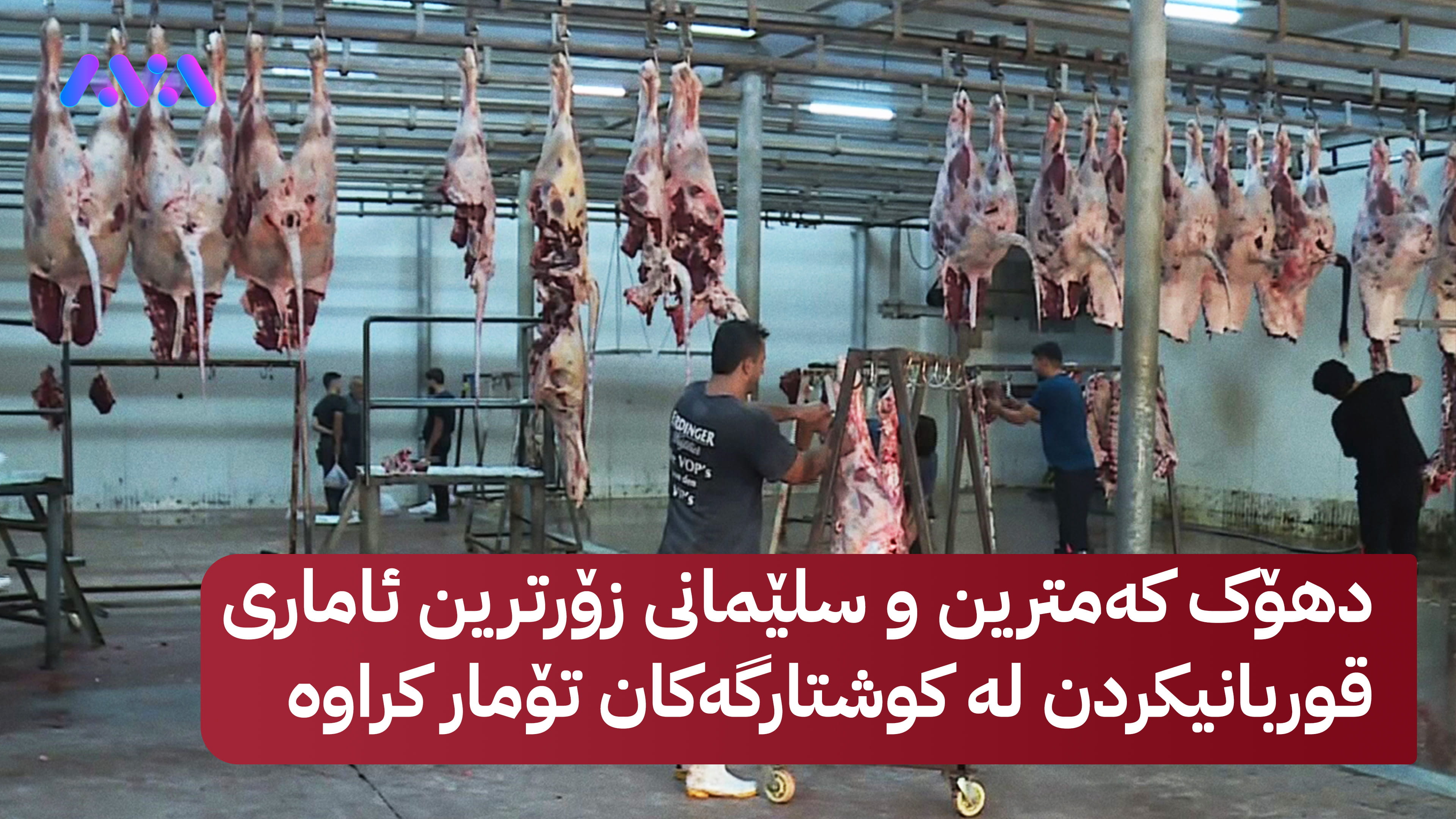 ئاڤا ئاماری قوربانیکردن لە هەولێر و سلێمانی و دهۆک بڵاودەکاتەوە