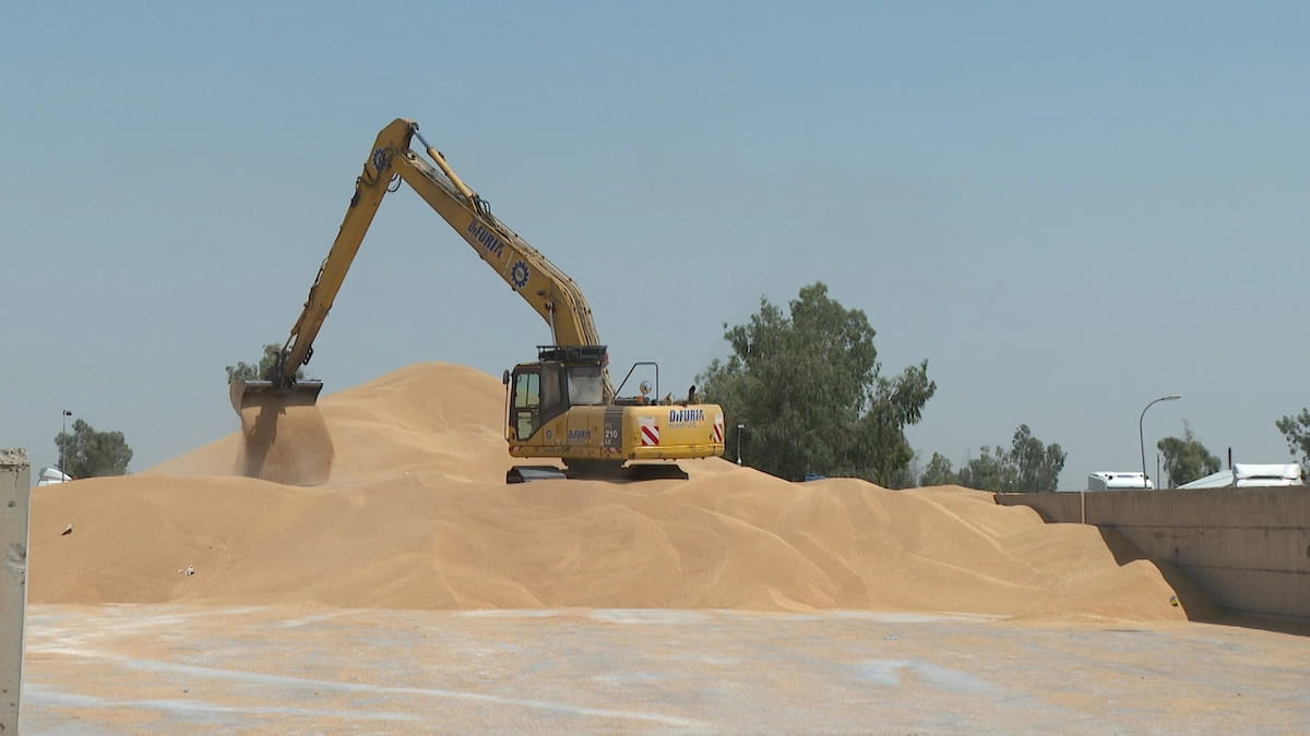 پرۆسەی وەرگرتنی گەنمی جووتیاران کۆتایی هات